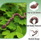3PCS Rubber Snakes Fake Snake, Realistic Rubber Snake Toy to Keep Birds Away for Garden, Lifelike Plastic Fake Snakes Prank Toys for Men, Adults Kids Gag Gifts, Prank Stuff Props for Halloween Decor