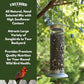 Wild Bird Seed for Outside Feeders by Freebird - Premium Songbird Blend with Sunflower, Safflower, Peanut Pieces, Red Millet and White Millet for Cardinals, Finches, and Colorful Wild Birds - 5lb Bag