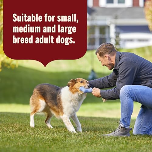 Nutrish Real Beef & Pumpkin Recipe Whole Health Blend Premium Paté Wet Dog Food, 13 oz. Can, 12 Count, Packaging May Vary (Rachael Ray)