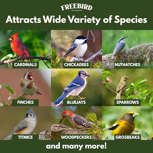 Wild Bird Seed for Outside Feeders by Freebird - Premium Songbird Blend with Sunflower, Safflower, Peanut Pieces, Red Millet and White Millet for Cardinals, Finches, and Colorful Wild Birds - 5lb Bag