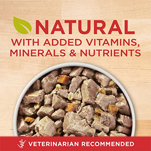 Purina ONE Natural Wet Dog Food Gravy, Tender Cuts in Gravy Beef and Barley Entrée - 13 Ounce (Pack of 12)