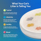 PrettyLitter Health Monitoring Cat Litter (Unscented, Non Clumping) | Lightweight & Low Tracking, Color Changing Silica Gel Crystals, Advanced Odor Control — 6 Lbs, Pack of 2 (Up to 2 Month Supply)