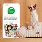 Bedsure ComfyFleece™ Cute Cat Couch for Pets - As Seen on TV on Good Day New York, Fuzzy Cats beds for Indoor Cats with Removable Washable Cover, Supportive Pet Sofa, 24inch, Cream