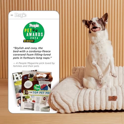 Bedsure ComfyFleece™ Cute Cat Couch for Pets - As Seen on TV on Good Day New York, Fuzzy Cats beds for Indoor Cats with Removable Washable Cover, Supportive Pet Sofa, 24inch, Cream