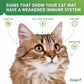 Vetoquinol Enisyl-F Lysine Bites: L-Lysine Chews for Cats & Kittens - Chicken Liver-Flavor, 6.4oz (180g) Recloseable Bag