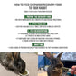 Sherwood Pet Health Rabbit Emergency kit and Bulk Recovery Food (Small kit)