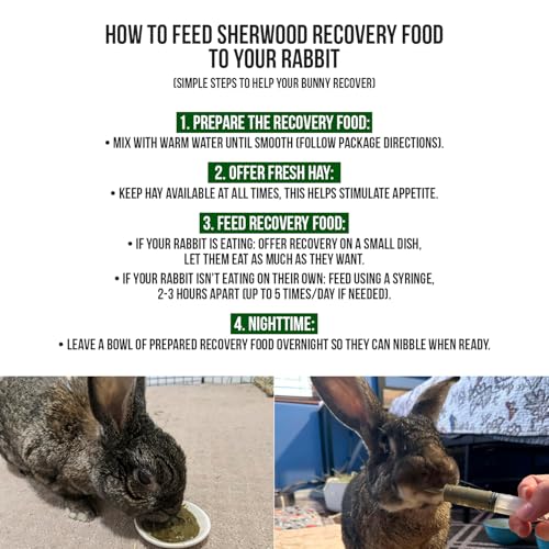 Sherwood Pet Health Rabbit Emergency kit and Bulk Recovery Food (200 Grams)