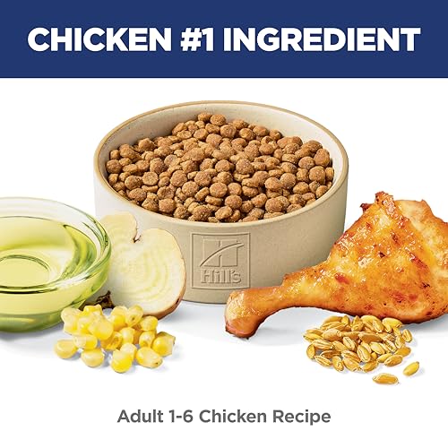 Hill's Science Diet Adult 1-6, Adult 1-6 Premium Nutrition, Dry Cat Food, Chicken Recipe, 16 lb Bag