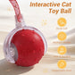 Interactive Cat Ball Toy, Chirping Motion Activated Electric Rechargeable Cat Toy with 2 Replaceable Tails, Self Play Hunting Rolling Indoor Cat Toys for Bored Adult Cats & Kittens - Boredom Busters