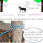 Dog Tie Out Cable for Camping, Dog Trolley System and 4ft Bungee Leash for Dogs Up to 400lbs, Suitable for Camping, Yard and Outdoor Events (Blue25