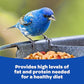 Kaytee Shelled Peanuts for Cardinals, Blue Jays, Woodpeckers and Other Outside Wild Birds, 11 Pounds
