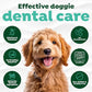 TropiClean Fresh Breath Water Additive for Dogs, Dog Breath Freshener and Teeth Cleaning Solution, No Toothpaste or Toothbrush Required, 33.8oz.
