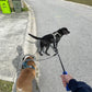 Double Dog Leash Coupler Heavy Duty Extension Rope for Two Large Dog | No Tangle 1/2" Thick Dual Dog Lead Splitter for Large Medium Dogs Over 40 lbs