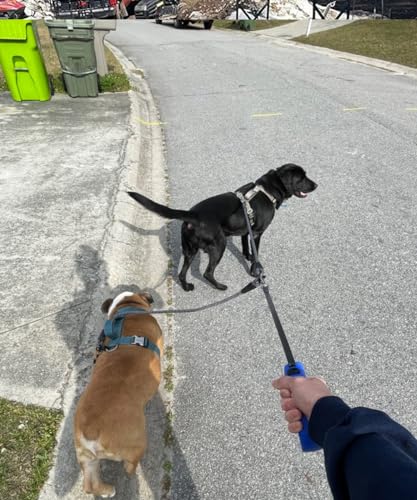 Double Dog Leash Coupler Heavy Duty Extension Rope for Two Large Dog | No Tangle 1/2" Thick Dual Dog Lead Splitter for Large Medium Dogs Over 40 lbs