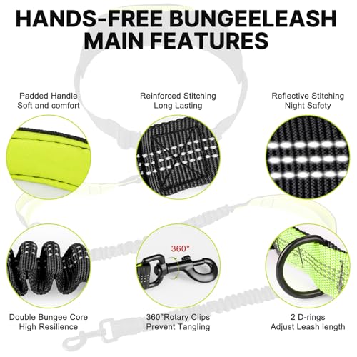 Hands Free Dog Leash for Medium Large Dogs, Waist Support Padded Bungee Dog Running Leash with Reflective Stitching for Walks, Jogging, Running
