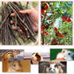 William Craft Apple Sticks Pet Chew Toy Treats for Chinchilla Guinea Pigs Rabbits Squirrel Hamster Bunny