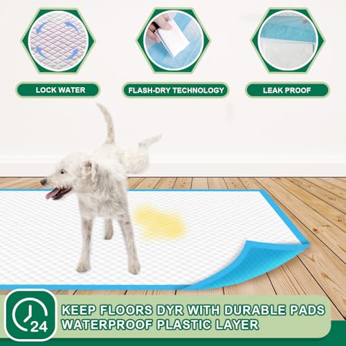 IMMCUTE Puppy Pads 22"x23" 100 Count | 6-Layer Leak-Proof & Super Absorbent Dog Training Pads | Disposable Potty Pads for Puppies, Dogs, Cats & Rabbits | Blue & White