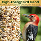 Woodpecker Bird Seed Cylinders with Hole – Premium Woodpecker Food Blend with Sunflower Chips, Peanuts & Suet – Natural High Energy Bird Seed, No Filler, No Shell, No Mess – USA Made (4" x 7.75")