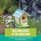 Beetle & Bee Build A Bird Bungalow - DIY Kid Art Craft Outdoor Birdhouse Kit, House Painting Kit for Kids, Hardware Glue Included- 4 Paints, 1 Brush, 7 Wooden Pcs, Chain For Tree Hanging Age 5+