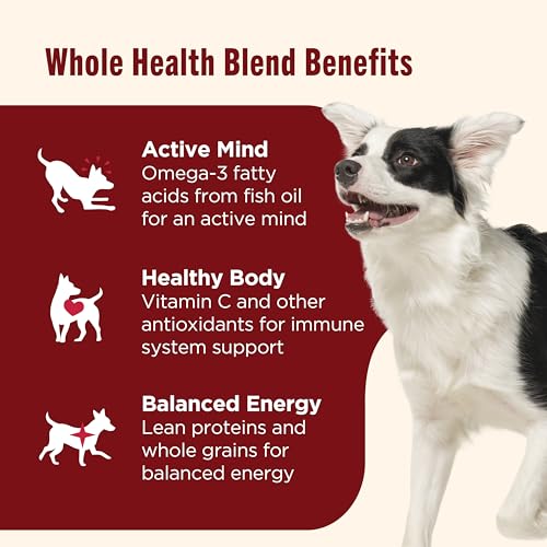 Nutrish Real Beef & Pumpkin Recipe Whole Health Blend Premium Paté Wet Dog Food, 13 oz. Can, 12 Count, Packaging May Vary (Rachael Ray)