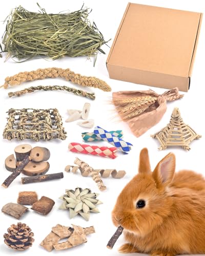 Bissap Rabbit Chew Toy, Natural Bunny Treats Snacks with Timothy Hay Water Grass Mat Coconut Husk Box for Guinea Pigs Chinchillas Hamsters Gerbils and Other Small Pets Teeth Grinding