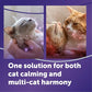 FELIWAY Optimum Cat Calming Diffuser Refill (3 Pack, 90 Day Supply) – Cat Pheromone Diffuser Refill for Advanced Support to Reduce Stress, Spraying, Scratching, Fighting and Hiding