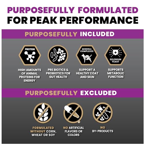 VICTOR Super Premium Dog Food – Professional Dry Dog Food – Super Premium Kibble with 26% Protein – Gluten-Free with Beef, Chicken & Pork Meals – for