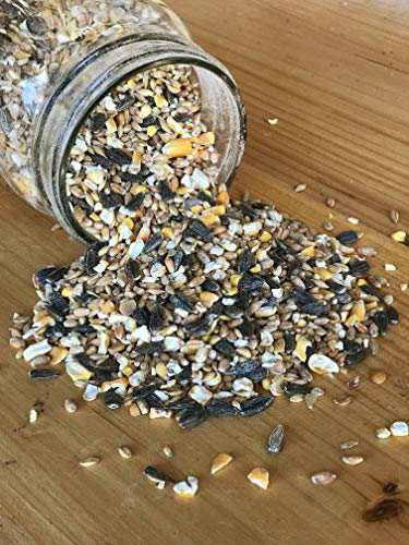 Ernst Grain & Livestock's Bird and Wildlife Feed – Perfect for Birds, Ducks, Squirrels, Turkeys, Rabbits, Geese, and Deer – Non-GMO Wild Animal & Bird Feed for Outside Feeders (46 Pound)