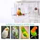 Colorday Bird Bath for Cage, Parrot Bath for Small to Medium Birds, Cockatiels, Parakeets, Budgie, Quaker, Conure, Lovebirds, Finches(6.7X6.7X7.74 inch)