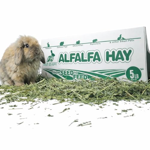 High Desert Alfalfa Hay, Protein Rich Soft Leaf Food for Young Growing Animals, Natural Rabbit Food and Guinea Pig Hay, Supports Digestive Health, Small Pet Supplies, Fresh Hand Packed 5 Lb Box