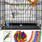 200-Piece Rainbow Plastic Chain Links & Toys - Interlocking C-Clip Bird Cage Accessories for Parakeets, Sugar Gliders, Small Pets (Climbing/Swinging Toys)