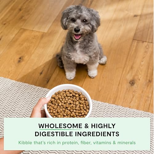 Open Farm, Ancient Grains Dry Dog Food For Small Breeds, Protein-Rich & Nutrient Dense, 90% Animal Protein With Non-GMO Fruits, Veggies and