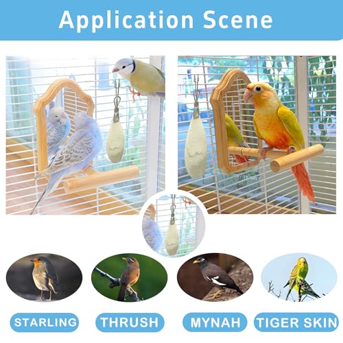 Jmxu's 3.5"-4" Cuttlebone for Birds Parakeets, Cuddle Bone with Metal Clip, Cuttlefish Bone for Sharp Beaks, Natural Birds Calcium for Parrots Cockatiels Tortoises, 4 Pcs
