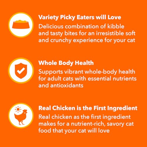 IAMS Healthy Enjoyment Dry Cat Food Chicken & Salmon Recipe, 3 lb. Bag