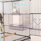 Colorday Bird Bath for Cage, Parrot Bath for Small to Medium Birds, Cockatiels, Parakeets, Budgie, Quaker, Conure, Lovebirds, Finches(6.7X6.7X7.74 inch)