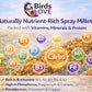 Birds LOVE Millet Tips & Tails for Birds - Parakeets, Cockatiels, Lovebirds, Finches, Budgies, Canaries, Cockatoos - Natural & Healthy Millet for Birds - Parakeet Food & Treats for All Parrots, 1lb