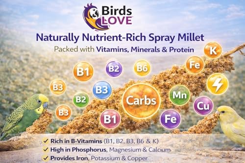 Birds LOVE Millet Tips & Tails for Birds - Parakeets, Cockatiels, Lovebirds, Finches, Budgies, Canaries, Cockatoos - Natural & Healthy Millet for Birds - Parakeet Food & Treats for All Parrots, 1lb