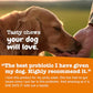 Zesty Paws Probiotics for Dogs - Digestive Enzymes for Gut Flora, Digestive Health, Diarrhea & Bowel Support - Clinically Studied DE111 - Dog