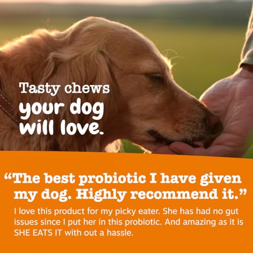 Zesty Paws Probiotics for Dogs - Digestive Enzymes for Gut Flora, Digestive Health, Diarrhea & Bowel Support - Clinically Studied DE111 - Dog
