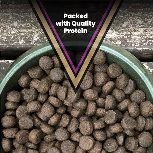 VICTOR Super Premium Dog Food – Professional Dry Dog Food – Super Premium Kibble with 26% Protein – Gluten-Free with Beef, Chicken & Pork Meals – for