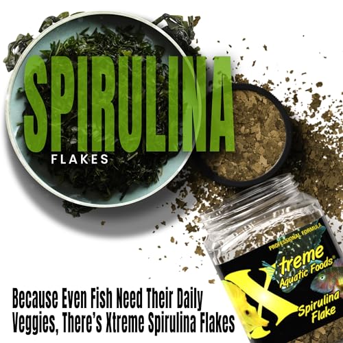Xtreme Spirulina Flakes - Balanced Herbivorous Diet for Tropical and Marine Fish, Enhanced Health, Vibrant Colors - USA Farm Grown - Ideal for Cichlids, Barbs, Tetras and Guppies (3.5oz)