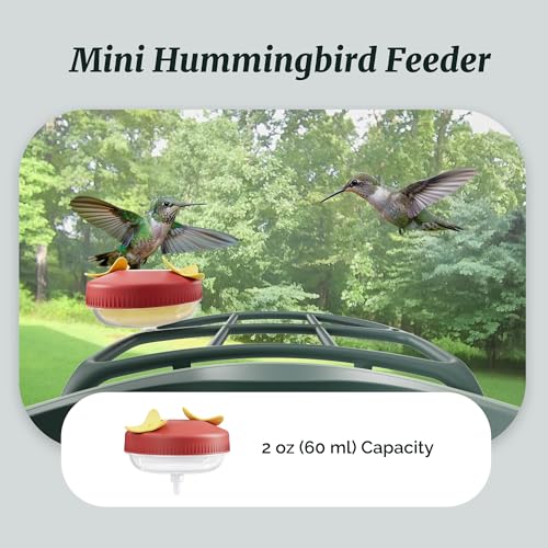 Complete Bird Feeder Accessory Kit DIY Add-Ons Including Mini Hummingbird Feeder, 2 Fruit Holders, Jelly Feeder, Compatible with Kiwibit Smart Bird Feeder with Camera to Attract More Birds