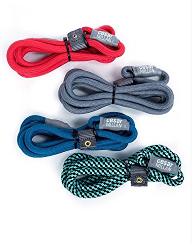 Cesar Millan Slip Lead Leash™ - 2-in-1 Slip Collar Dog Training Lead & Collar | Heavy Duty Durable Weatherproof Rope Leash, No Pull Training | Length