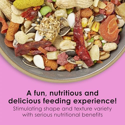 Kaytee Fiesta Big Bites Small Parrot & Conure Food, Nutritious and Fun Blend, Supports Skin, Feather, Digestion, Brain and Heart Health, 4 pounds