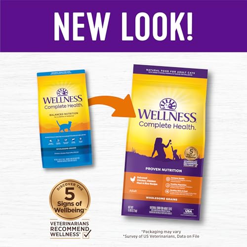 Wellness Complete Health Adult Dry Cat Food for Indoor and Outdoor Cats, Wholesome Grains, Natural, Chicken & Chicken Meal (5 Pound Bag)