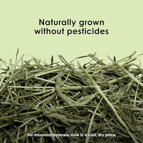 Kaytee Wafer Cut All Natural Timothy Hay for Pet Guinea Pigs, Rabbits & Other Small Animals, 60 Ounce