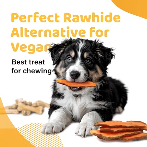 iPaw Sweet Potato Dog Treats, SQF Certified Single Ingredient Dog Treats for Vegetarian, All Natural Human Grade Puppy Chew, Rawhide Alternative, Hypoallergenic, Easy to Digest