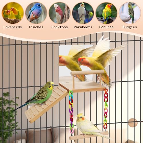 Bird Perches Platform Swing with Bird Mirror Climbing Ladder Birds Toys Cage Accessories for Cockatiels, Lovebirds, Pacific Parrotlets,Chinchilla, Hamster Play Gym Exercise Stand (with Mirror)