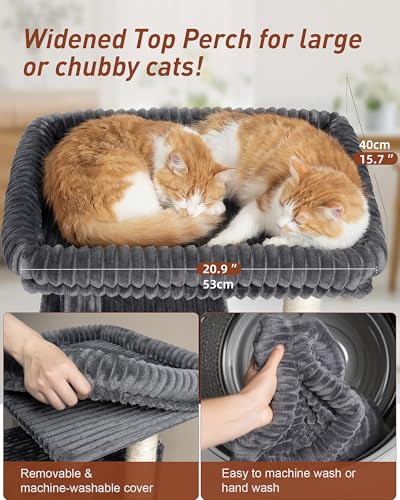 Cat Tree for Large Cat, 20.9 * 15.7in Large Perch Bed for Adult Cats, 22.8in Cat Tower with Scratching Post, Cat Condo with 2-Door for Indoor Cats, Dark Gray