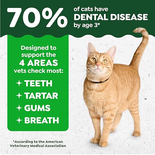 Greenies Cat Treats, Feline Veterinarian-Recommended Adult Natural Dental Treats, Catnip Flavor, 9.75 oz. Tub
